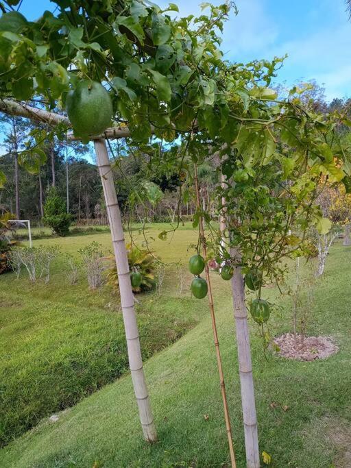 Sitio Paraiso Verde จูคิทชิบา ภายนอก รูปภาพ